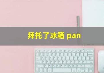 拜托了冰箱 pan